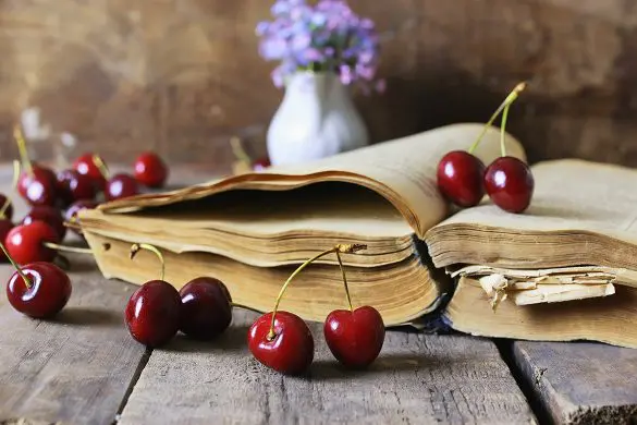 book