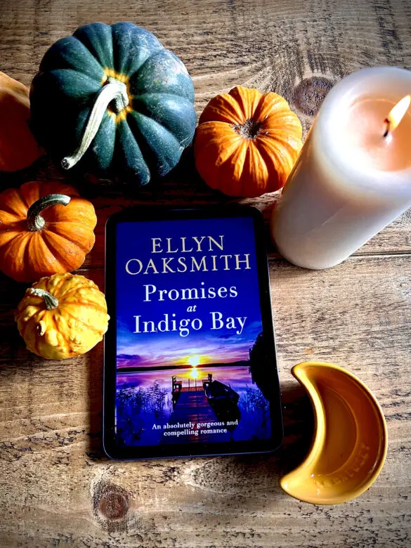 Promises at Indigo Bay Review