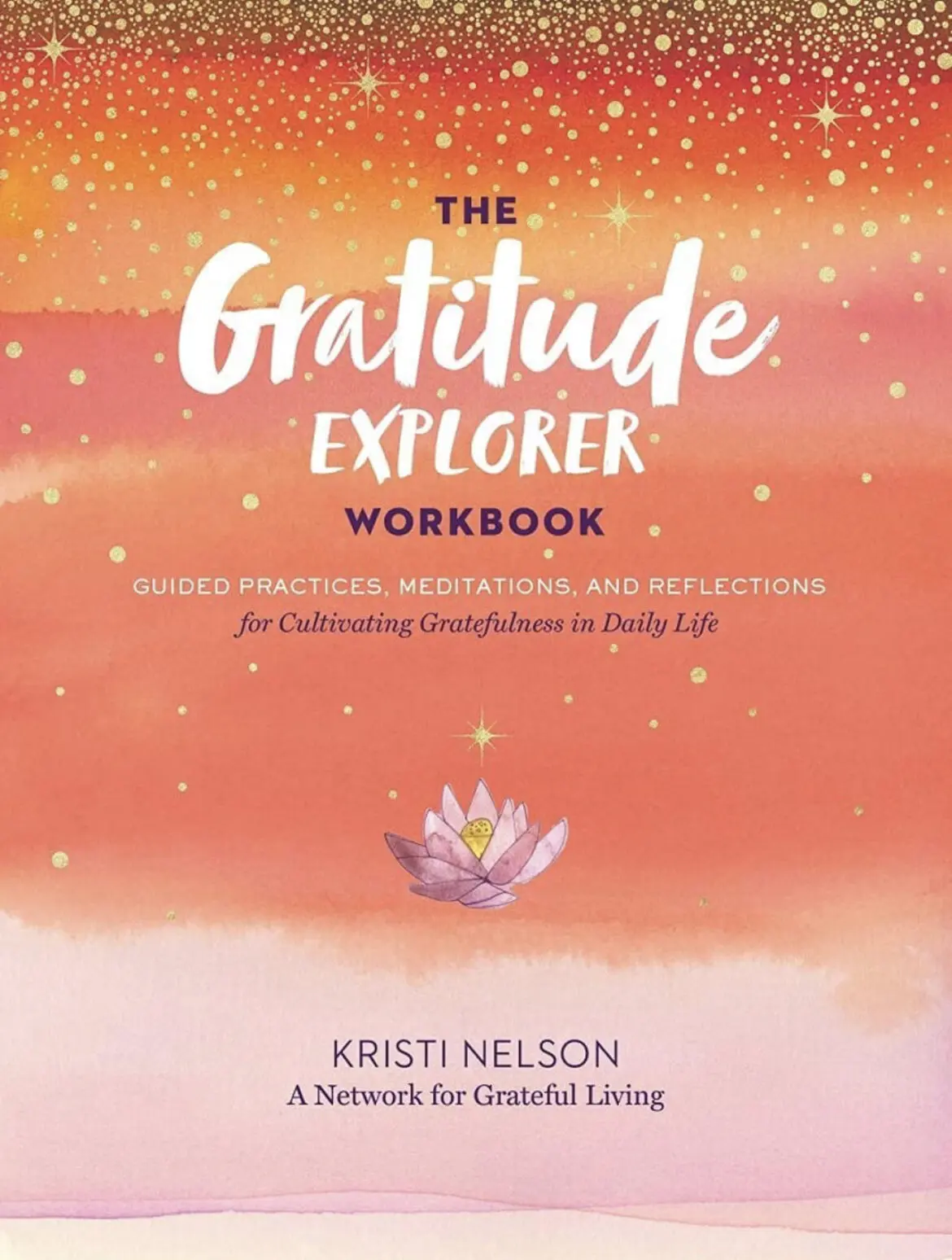 Gratitude Explorer Workbook Review