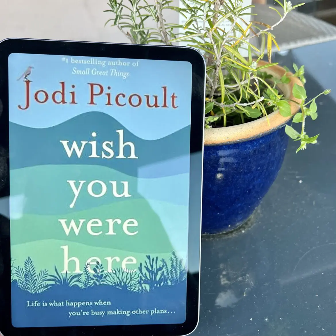 jodi picoult latest book