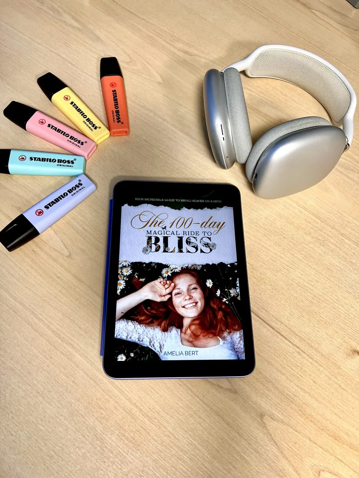 100 Day Ride to Bliss by Amelia Bert Book Review