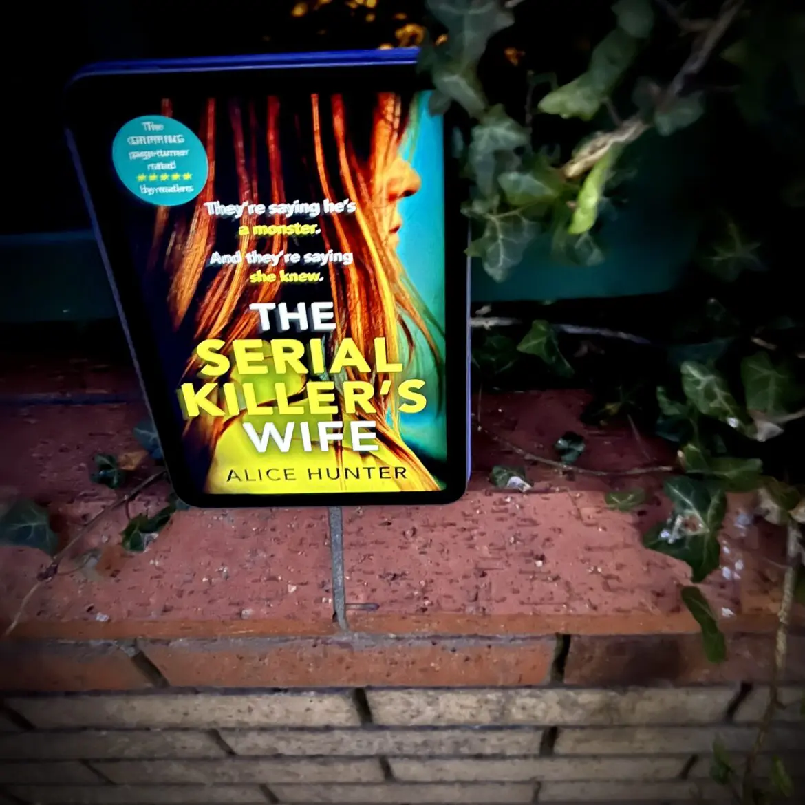 The Serial Killers Wife Book Review