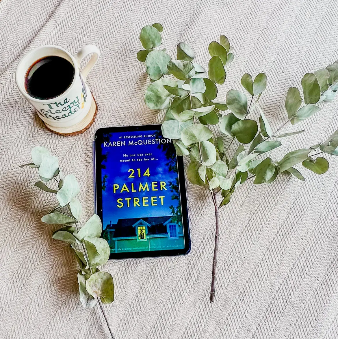 214 Palmer Street by Karen McQuestion Book Review