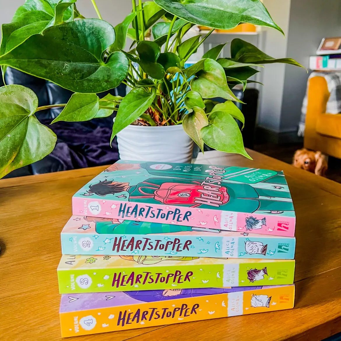 Heartstopper by Alice Osman Book Series Review
