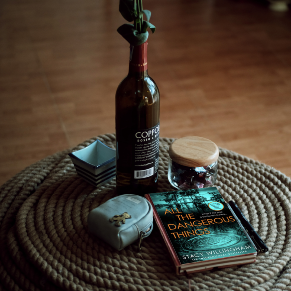 All the Dangerous Things by Stacy Willingham, Book Review
